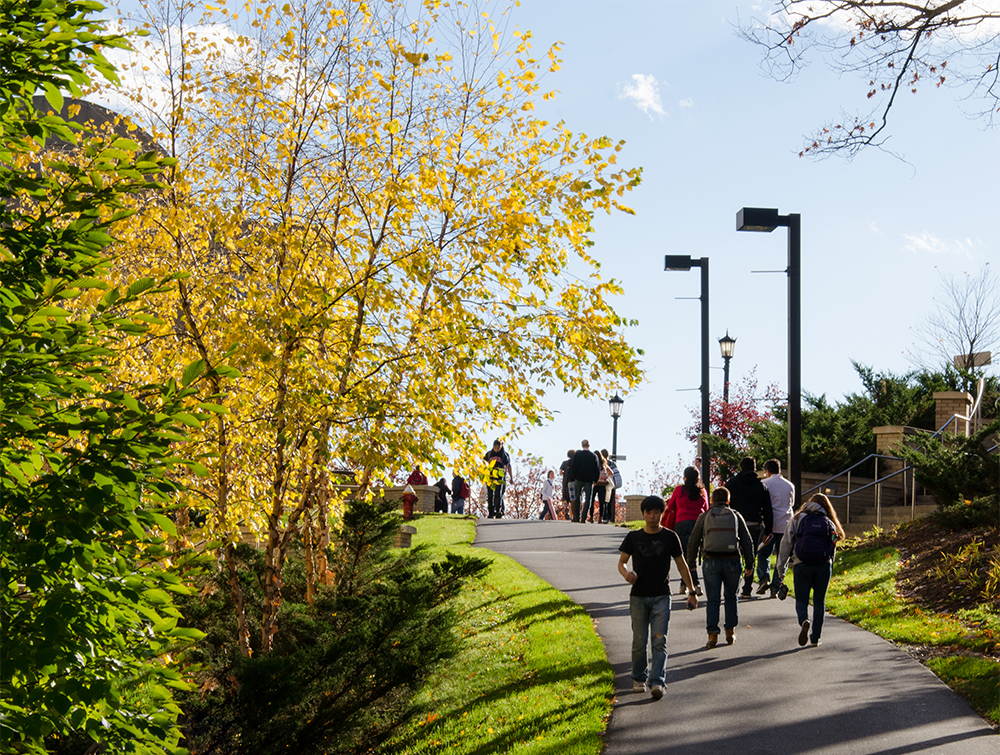 Cornell University